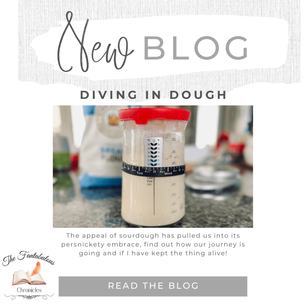Diving into Dough